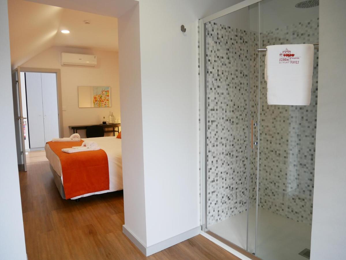 וילה נובה דה גאיה Serra Do Pilar Porto Suites מראה חיצוני תמונה